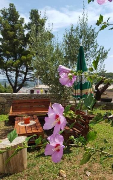 Apartments Radulović Ulcinj Exterior foto
